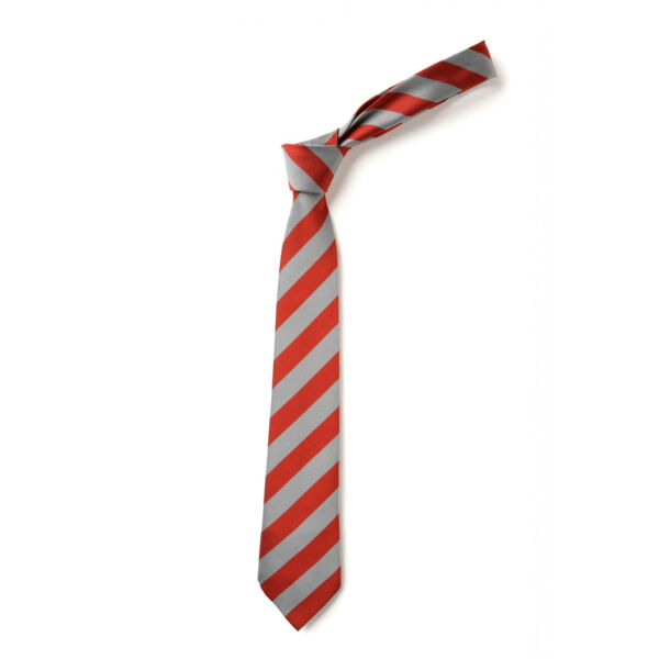 Parrett & Axe School Tie Thumbnail